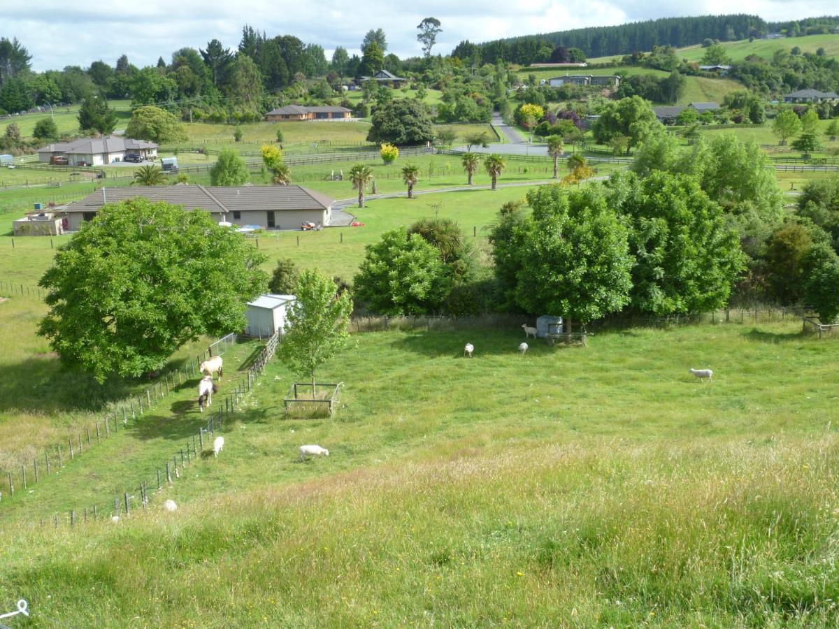 Bellarosa B&B Rotorua Buitenkant foto